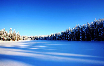 Peace, blue, winter, white, graphy, beautiful, snow, trees, nature, sky, amazing HD wallpaper