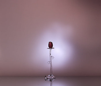 Alone, background, art , still life, table, pink, glass rose, nice HD wallpaper