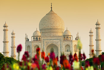 Architecture, India, Taj Mahal, , Dome, Monument, Monuments HD wallpaper