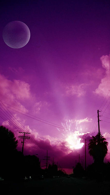 Purple Color, Nature HD phone wallpaper