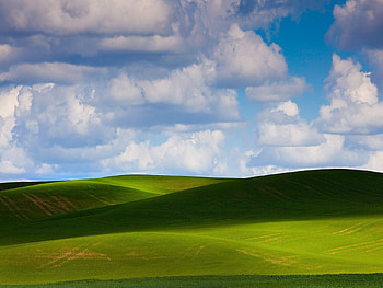 Nature, Sky, Greens, Plain, Meadows HD wallpaper