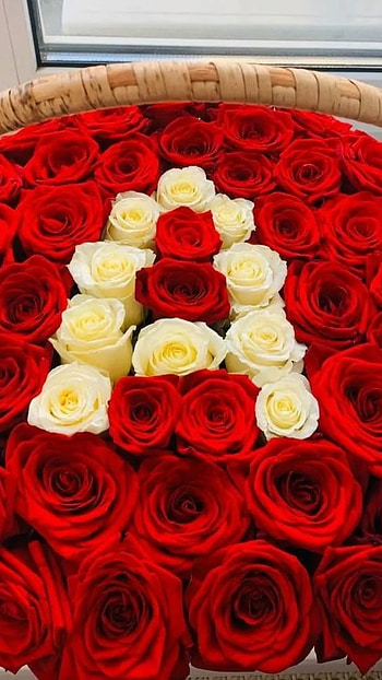 A Name, Red Roses HD phone wallpaper