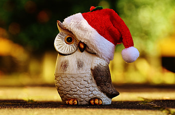 Santa Claus, Owl, Miscellanea, Miscellaneous, Statuette, Cap HD wallpaper