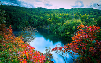 Forest Lake in Autumn, leaves, water, trees, colors, landscape, sky HD wallpaper