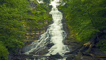 Pratts Falls in upstate New York, south of Syracuse, river, trees, Cascades, rocks, usa HD wallpaper