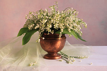 lily of the valley, still life, valley, vase, flowers, spring, lily HD wallpaper