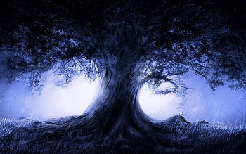 Alone Tree, mist, blue, fog, alone, trees, nature, forest, tree HD wallpaper