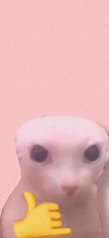 Bingus Cool, funny HD phone wallpaper
