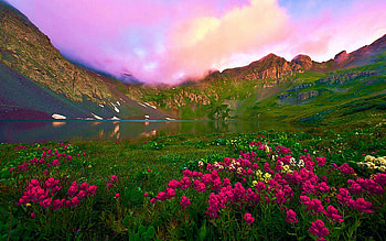 Clear Lake Dawn, Oregon, blossoms, landscape, clouds, colors, sky, flowers, mountains, usa HD wallpaper