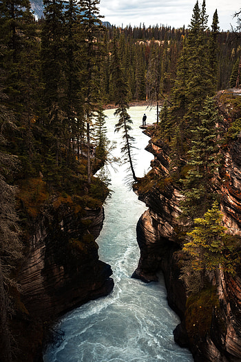Nature, Rivers, Trees, Rocks, Silhouette, Precipice, Break HD phone wallpaper