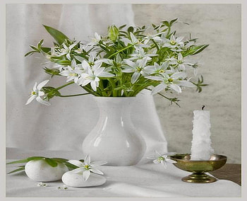 Still life - Green and white, green leaves, container, candle, white curtain, bowl, white flowers HD wallpaper