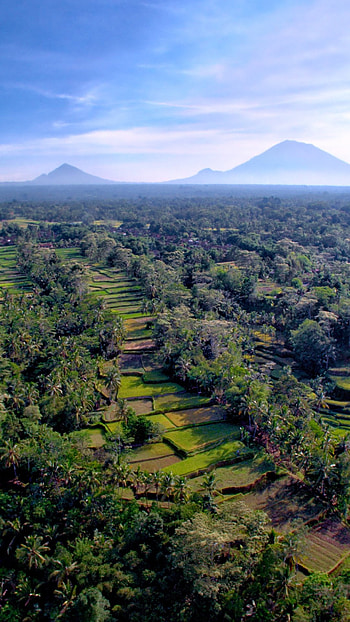 Indonesia Travel, Extraordinary landscapes, Earth's beauty, Natural wonders HD phone wallpaper