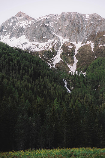 Nature, Trees, Mountains, Snow, Rocks, Vertex, Tops HD phone wallpaper