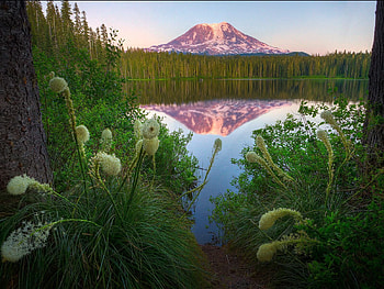 Nature, Flowers, Mountain, Vertex, Top, Lake, Reflection, Shore, Bank HD wallpaper