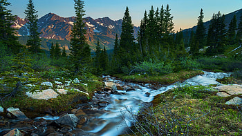 Splitting creek in the Rocky Mountains, Colorado, rocks, mountain, landscape, trees, usa, stones HD wallpaper