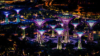 Garden by the Bay Singapore, bay, garden, night graphy, singapore HD wallpaper