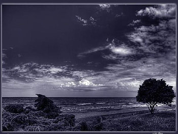 horizon line, purple, horizon, line HD wallpaper
