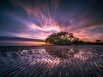 Beach at low Tide, tide, clouds, sky, nature, sunset, beach HD wallpaper
