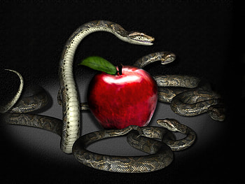 Temptation, snake, entice, apple, red HD wallpaper
