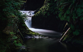 Nature, Grass, Dark, Waterfall HD wallpaper