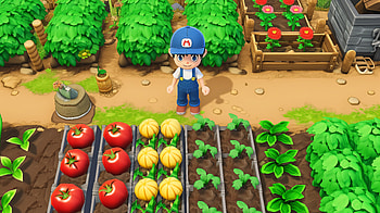 Gaming Harvest Garden, video game, gardening, Farming, vegetable, garden HD wallpaper