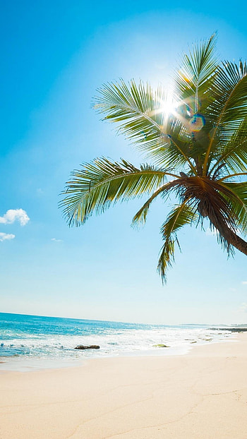 Sunny beach, , Beach vibes, Tropical getaway HD phone wallpaper