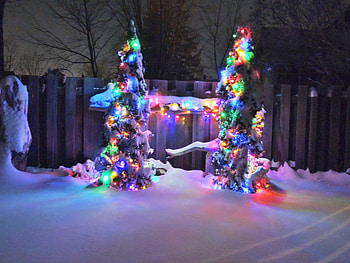 Christmas Lights, Winter, graphy, Snow, Nature HD wallpaper