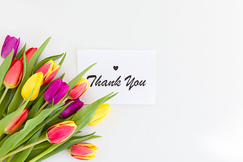 Flowers, Tulips, Words, Inscription, Thank You HD wallpaper
