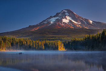 Nature, Mountains, Usa, United States, Oregon, Mount Hood, Trillium HD wallpaper