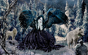 Winter, angel, wolvws, fantasy HD wallpaper