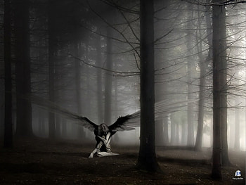 broken angel, angel, anime, fantasy HD wallpaper