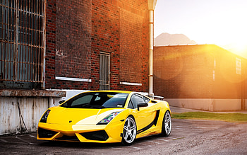61 Gallardo , Fascinating collection, Automotive wonders, Visual marvels HD wallpaper