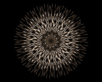arabesque 2, star, round, abstract, 3d, arabesque, sepia, flowers HD wallpaper