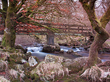 river in autumn, bridge, river, autum, tree HD wallpaper