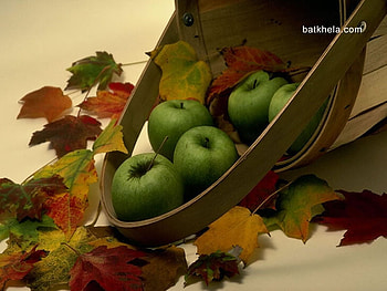 Fruits, autumn, fruit, apple, food HD wallpaper