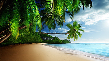 Vanuatu, Tropical paradise, backgrounds HD wallpaper