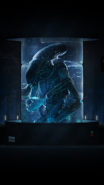Aliens - Xenomorph Statis, alien, movie HD phone wallpaper