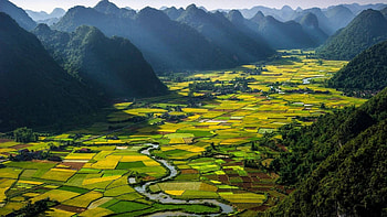 Vietnam travels, City streets, Ho Chi Minh, Cultural diversity HD wallpaper