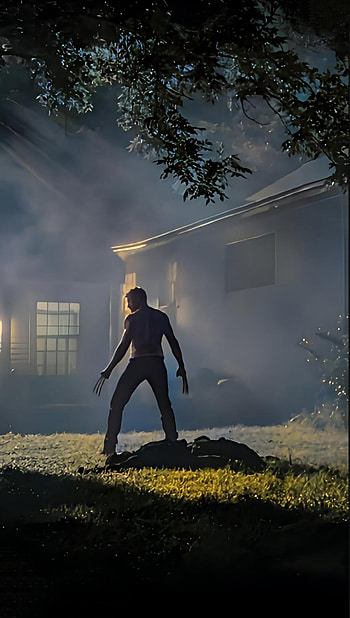 Logan, ibrahimovim, x-men, wolverine, marvel, nature, xmen, dark, dc HD phone wallpaper