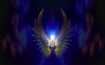 FIREBIRD, blue, wings HD wallpaper