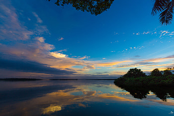 Blue Sky, Water, Reflection, Clouds, Trees HD wallpaper