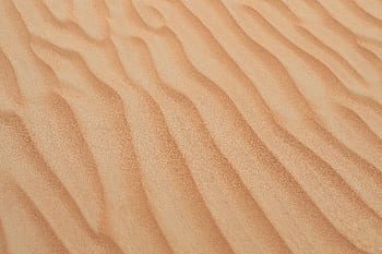 A serene view of golden sand dunes with smooth textures in Dubai's desert, perfect for backgrounds and . HD wallpaper