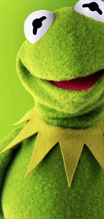 Green Kermit the Frog, Colorful , Vibrant icon, Animated charm HD phone wallpaper