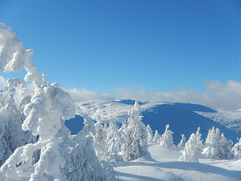 Landscape, Winter, Trees, Snow HD wallpaper