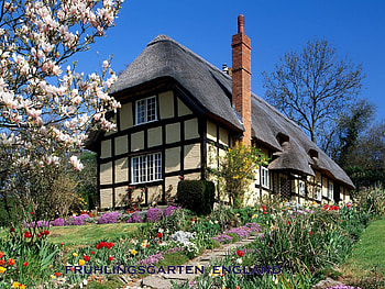 spring garden england, garden, spring, england, house HD wallpaper