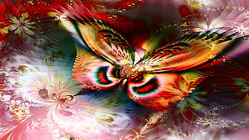 the butterfly, couorful, butterfly, insect, beauty HD wallpaper