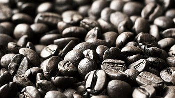 Coffee, Macro, Dark, Brown, Coffee Beans HD wallpaper