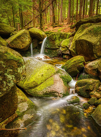 Water stream, forest, rocks, nature HD phone wallpaper