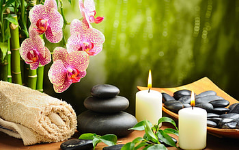 candle and flower, and, candle, beautyful, flower HD wallpaper
