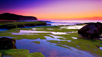 Nature, Water, Sea, Horizon, Shore, Bank, Stone, Evening, Plate, Moss, Slabs HD wallpaper
